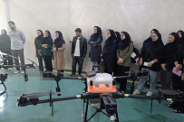 بازدید دانشجویان مرکز آموزش علمی کاربردی مجتمع صنعتی پروتئینی شام شام از پارک علم و فناوری استان فارس