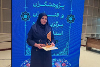 تجلیل از رئیس مرکز آموزش علمی‌کاربردی خانه کارگر شیراز به عنوان پژوهشگر برتر استان فارس