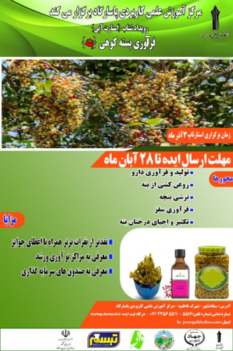 رویداد شتاب فرآوری پسته کوهی در مرکز آموزش علمی کاربردی پاسارگاد برگزار می شود